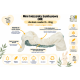 Pieluszka wielorazowa Kieszonka Bambus NB 1,5-8 kg – Samoloty | NappiMe®
