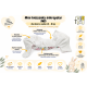 Pieluszka wielorazowa Kieszonka Mikropolar NB 1,5-8 kg – Kameleony | NappiMe®