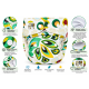Pieluszka wielorazowa Kieszonka Coolmax OS 6–15 kg – Pawie | NappiMe®