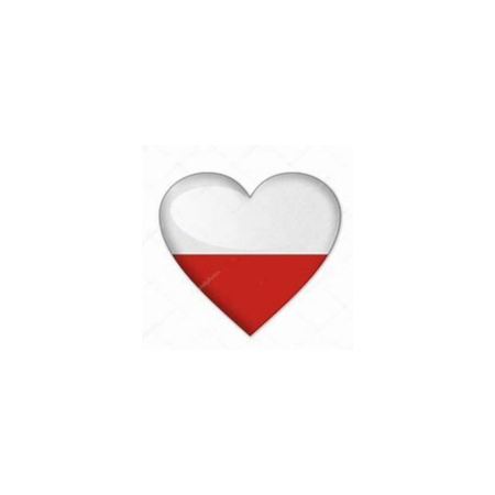 Pieluszka Wielorazowa AIO Newborn Kieszonka Coolmax SAMOLOTY